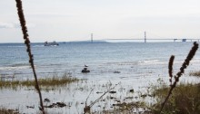 mr gull, mr ferry and mr bridge